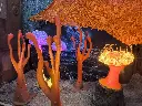 20251120_142230.webp