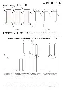 plan Arabische toren.webp