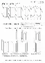 plan Arabische toren.webp