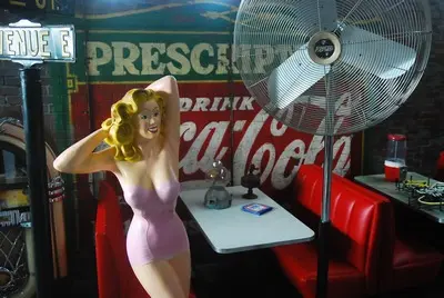 Ventilator, Fan  XL on foot  220v