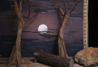 Old Tree without Leaves