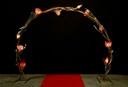 Entrance  in Gold with Roses 220V