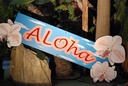 Panel, ""Aloha""