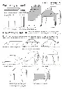 plan Berber-tent   (klein).webp