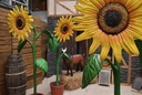 Sunflower, XL
