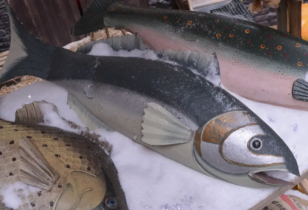 Fish   Tunafish   in   tin