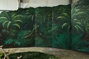 Screen Jungle