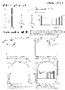 plan swing doors.webp