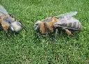 20260817_162603(3)-1.webp