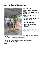 catch a coconut .1.webp