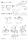 Japanse gate plan low.webp