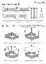 Bamboo house plan low.webp