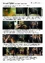 Plan Bamboo Tower jpeg.webp