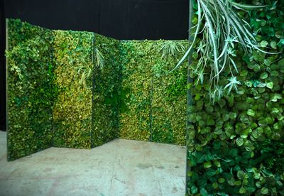 Greenery Wall/Screen