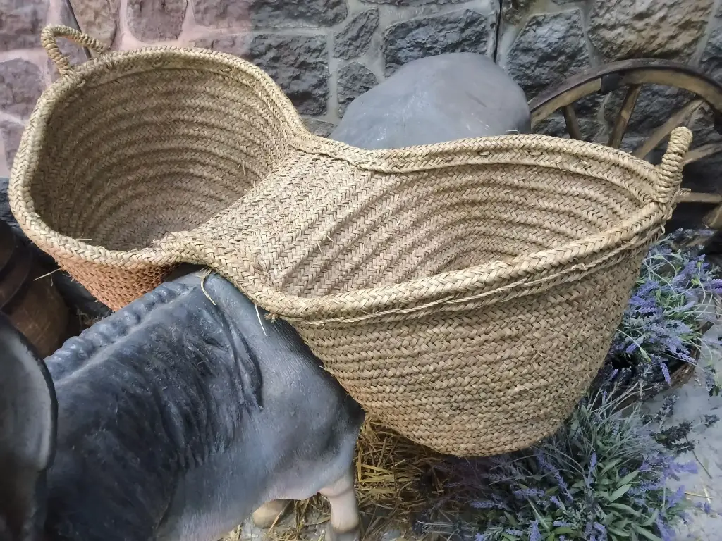 Baskets for Mule