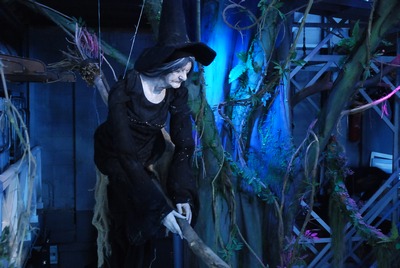 Witch  on  Broomstick
