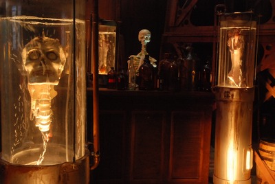 Head and Limbs on Aqua Fortis 220v