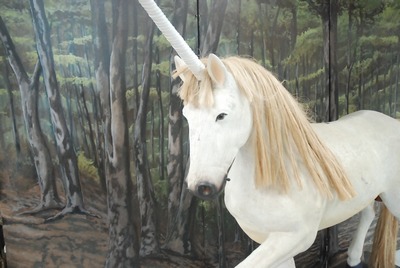 Horn   to make  "Horse White"  a Unicorn