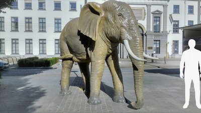 Elephant  Life-size