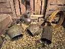 Cow Bell
