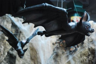 Bat Flying  latex