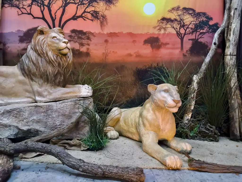 Lioness   lifesize