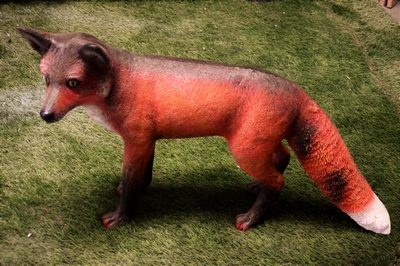 Fox, life-size