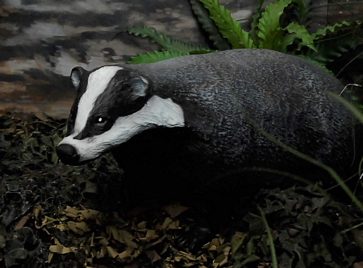 Badger, life-size