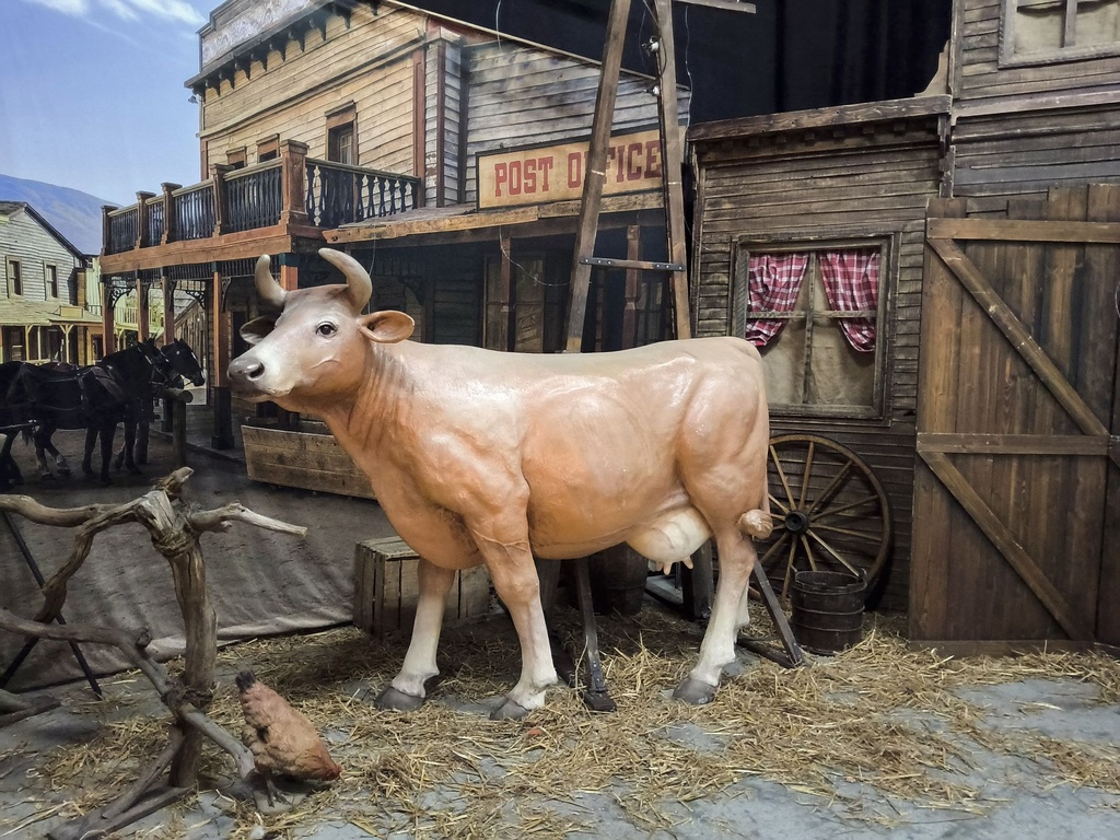 Cow   Brown  head-up    a Limousine