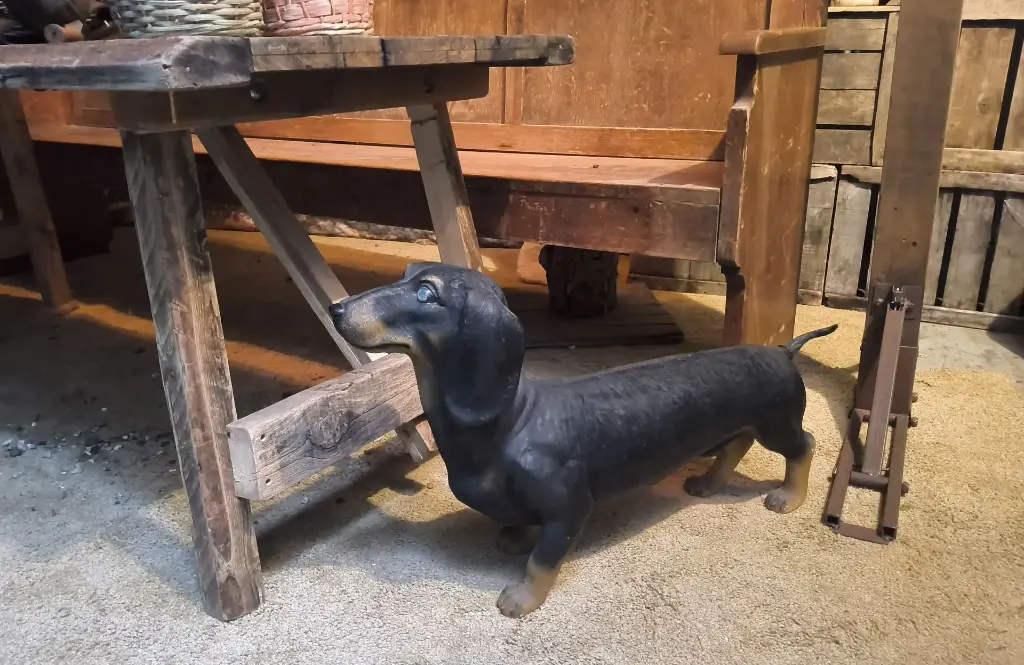 Dog   Teckel   life-size