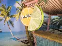 Lime Half a Slice