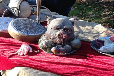 Pigs-Head   on a  Dish