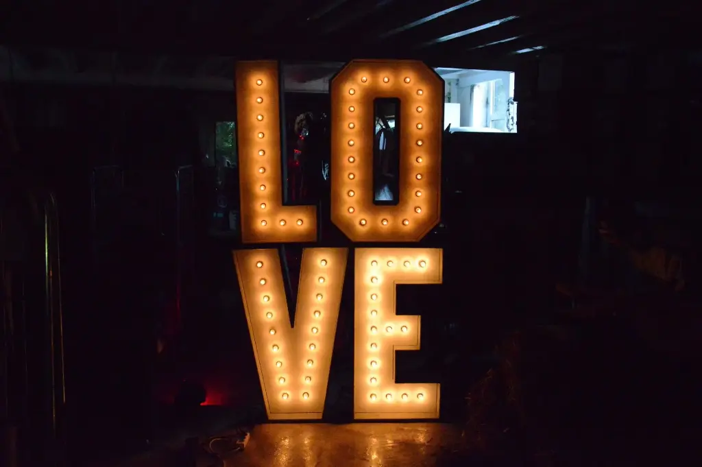 Show Letter ""L"" ,  220v