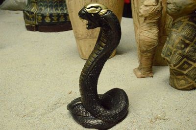 Cobra  Black with Gold