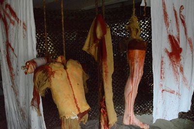 Limbs and Body parts on ropes etc.