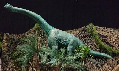 Dinosaur   Brontosaurus (Jurassic)