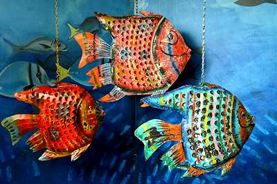 Tropical Fish, tin, a pc.