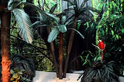 Palmtree, a pc. (foto is 3 pcs. on 1 isle)