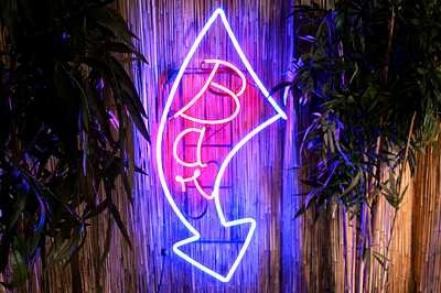 Led-Neon-Lighting "BAR" in an Arrow 220v