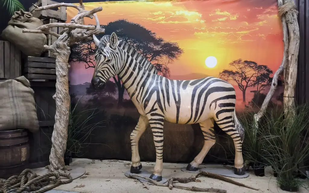 Zebra Lifesize