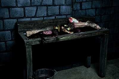 Butchers Table  with body Parts 220v