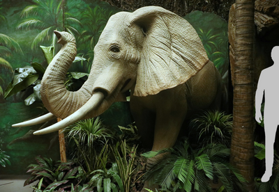 Elephant. Animatronics 220v