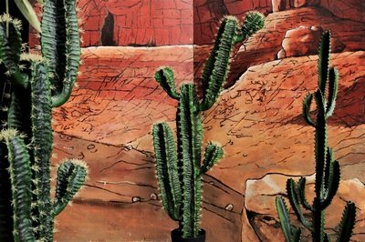 Cactus Euphorbia  171