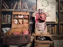 Torso with Organs
