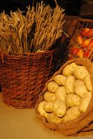 Sac with Potatoes