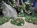 Three Patches of Grass with Flowers