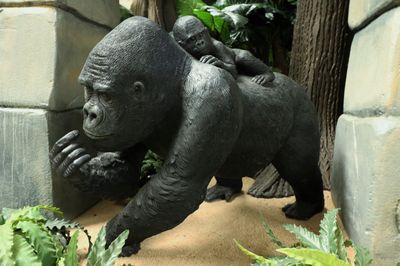 Gorilla, mama met baby