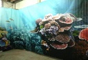 Backdrop  Barrier Reef 9m Right-side