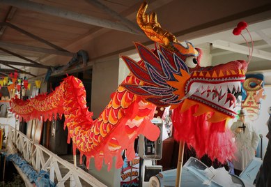 Dragon to Carry Around or...