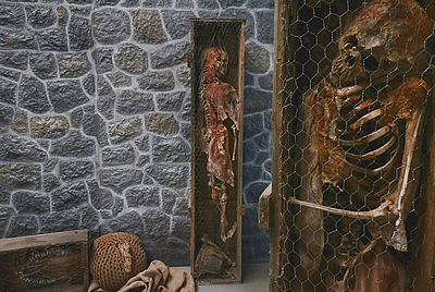 Decomposing Corpse in a Wooden Case